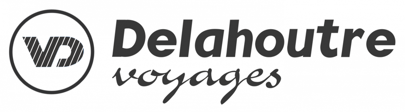 Logo Delahoutre NEW png